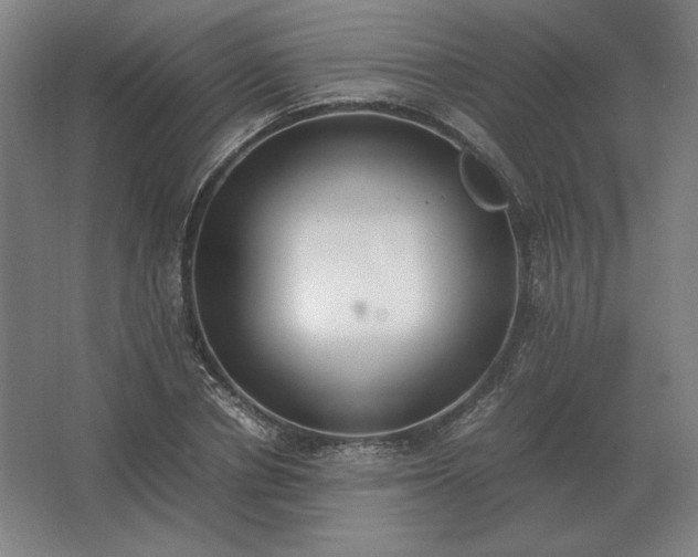 X0000062670834200512281737