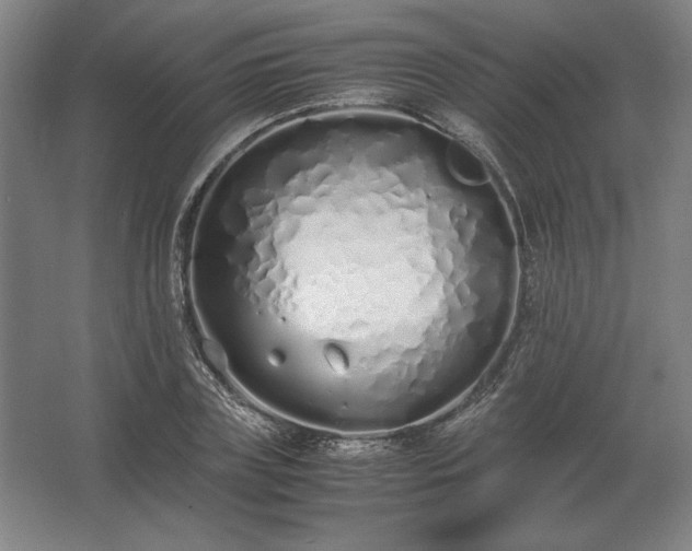 X0000062670835200512281737