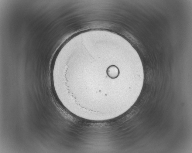 X0000062670836200512281737