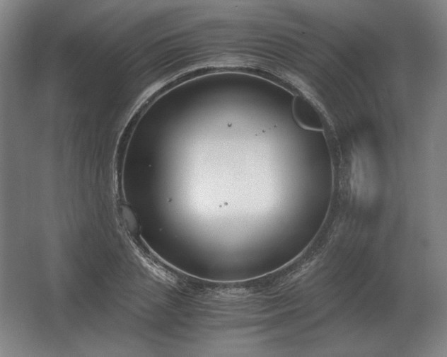 X0000062670837200512281737