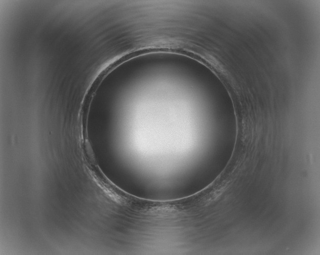 X0000062670838200512281737