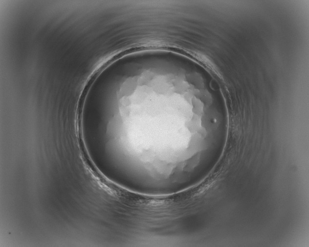 X0000062670839200512281737