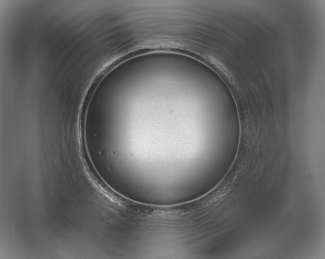 X0000062670840200512281737