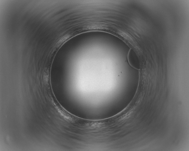 X0000062670841200512281737