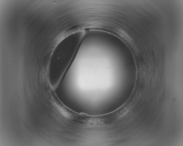 X0000062670842200512281737