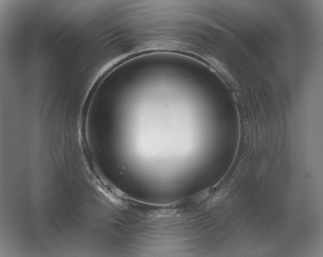 X0000062670846200512281737