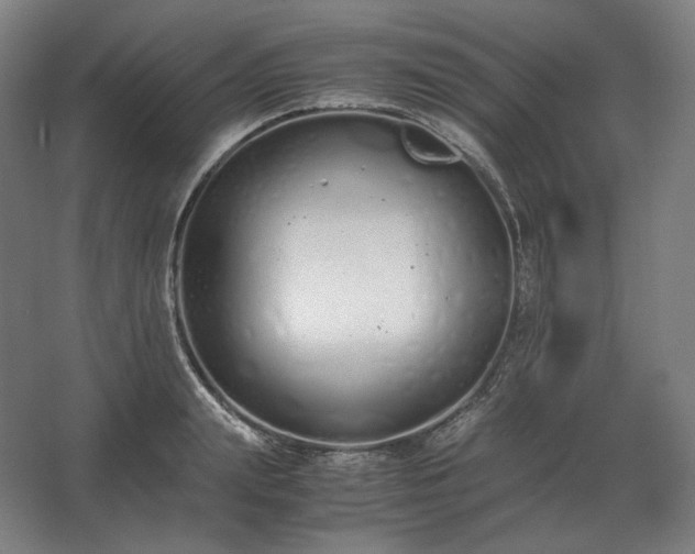 X0000062670847200512281737