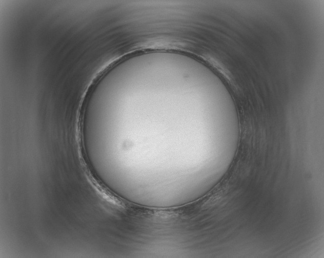 X0000062670848200512281737