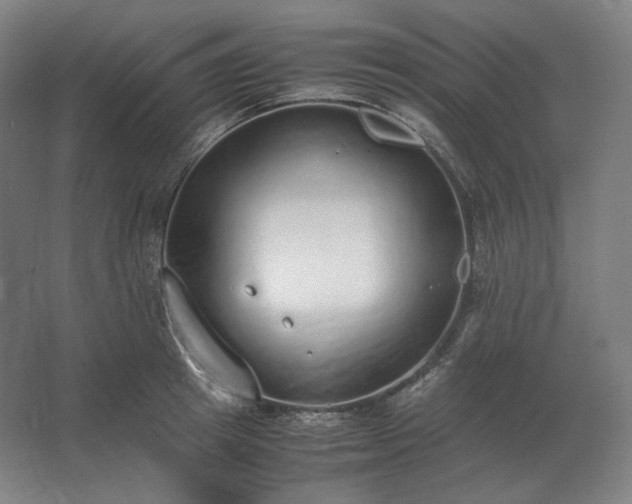 X0000062670849200512281737