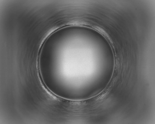 X0000062670855200512281737