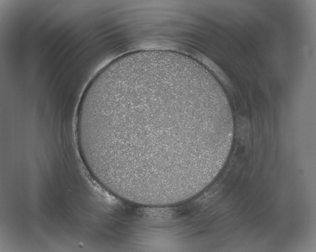 X0000062670856200512281737