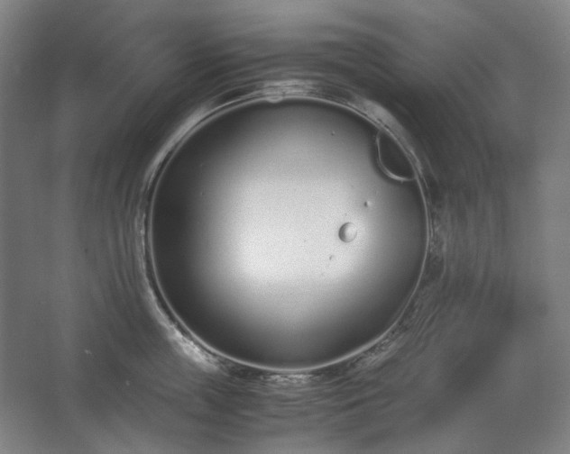 X0000062670859200512281737