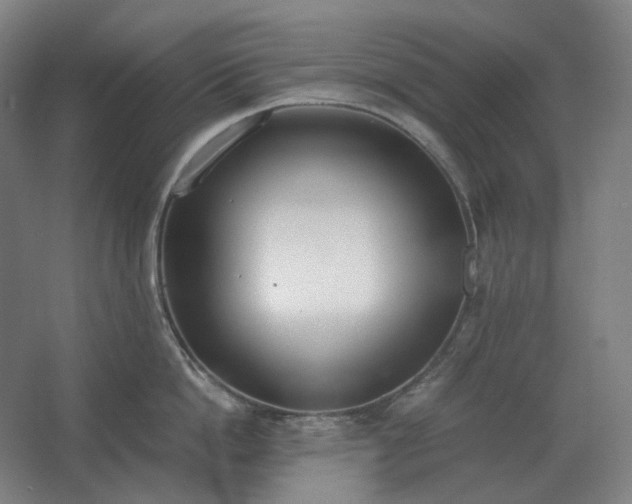 X0000062670862200512281737