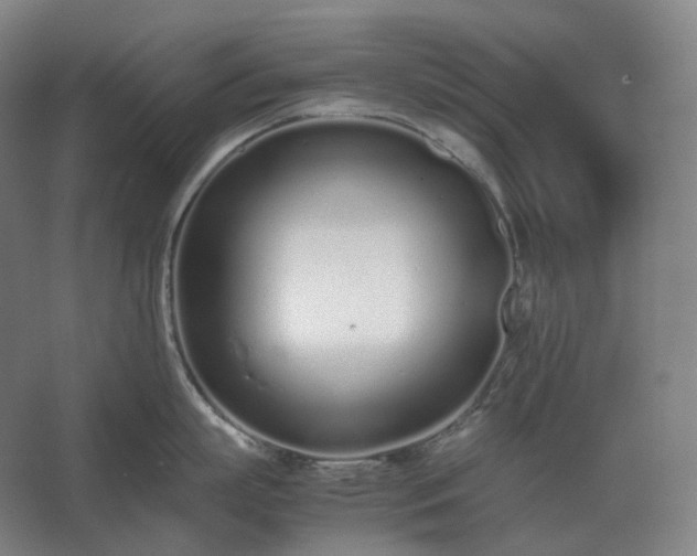 X0000062670863200512281737