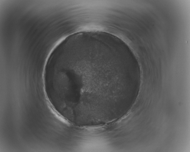 X0000062670864200512281737