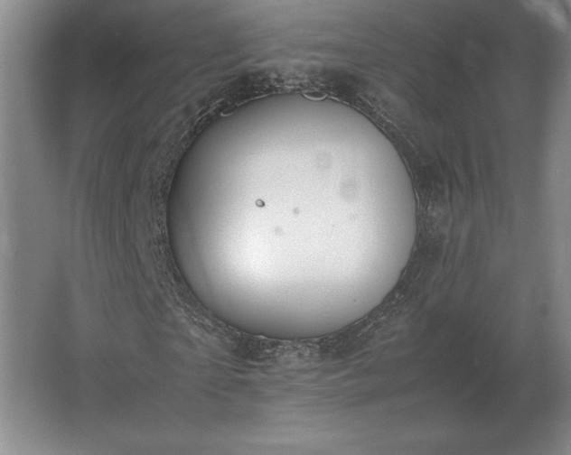 X0000062670865200512281736