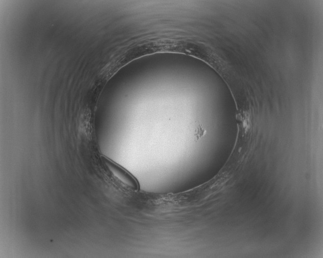 X0000062670867200512281736