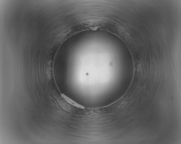 X0000062670868200512281736