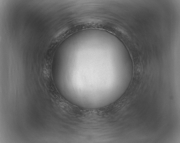 X0000062670869200512281736