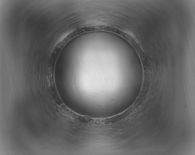 X0000062670871200512281736