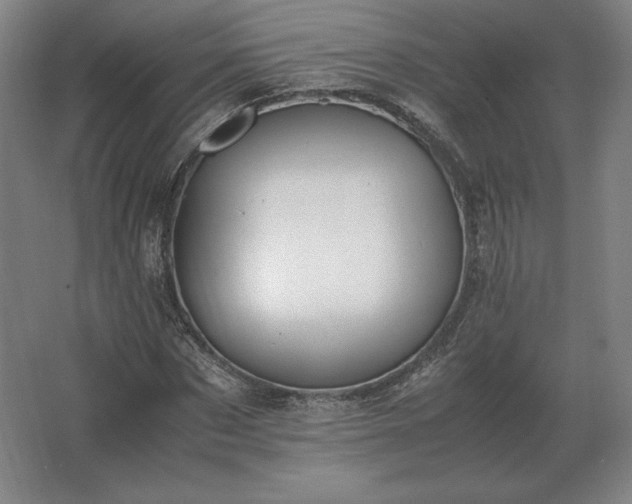 X0000062670873200512281736