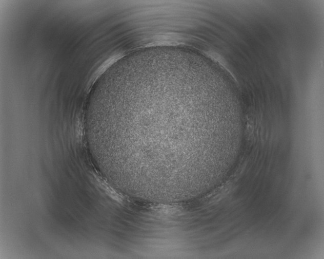 X0000062670874200512281736