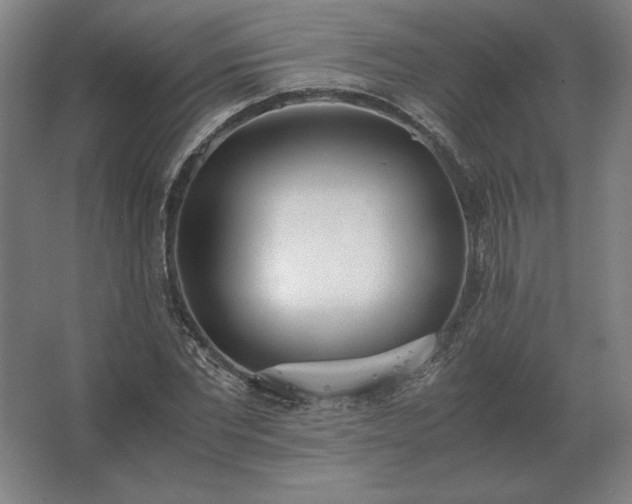 X0000062670877200512281736