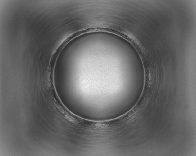 X0000062670878200512281736