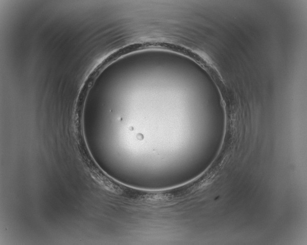 X0000062670879200512281736