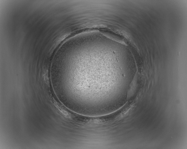 X0000062670881200512281736