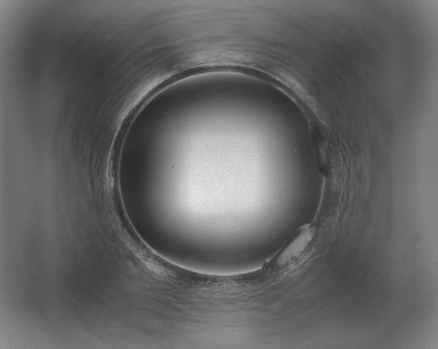 X0000062670885200512281736