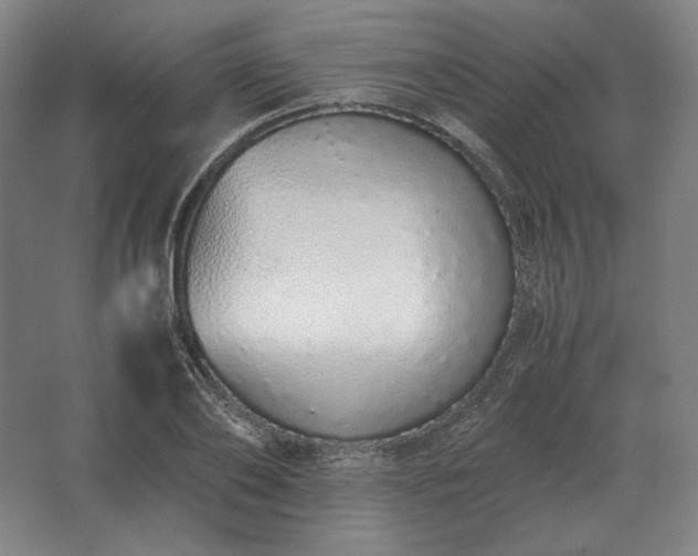 X0000062670886200512281736