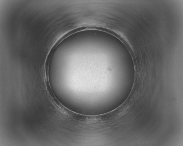 X0000062670887200512281736