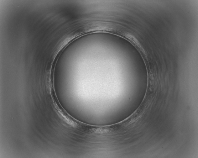 X0000062670890200512281736