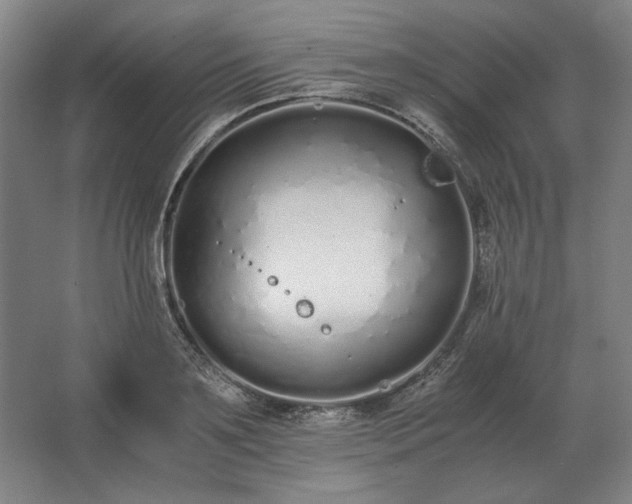 X0000062670891200512281736