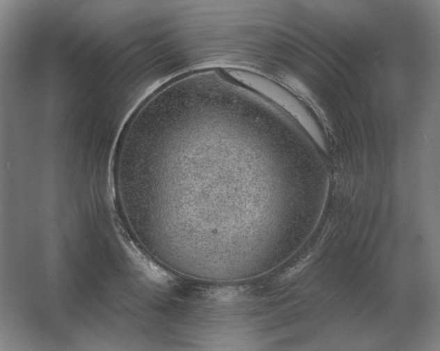 X0000062670892200512281736