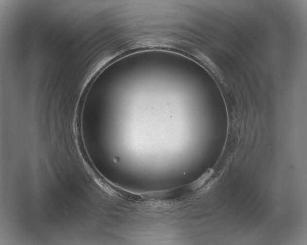 X0000062670893200512281736