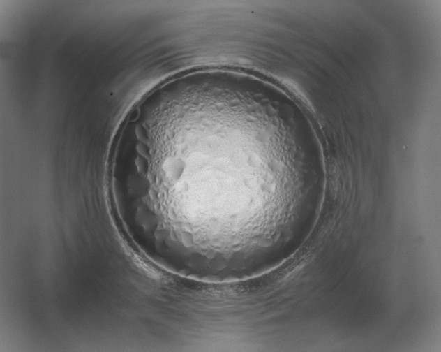 X0000062670895200512281736