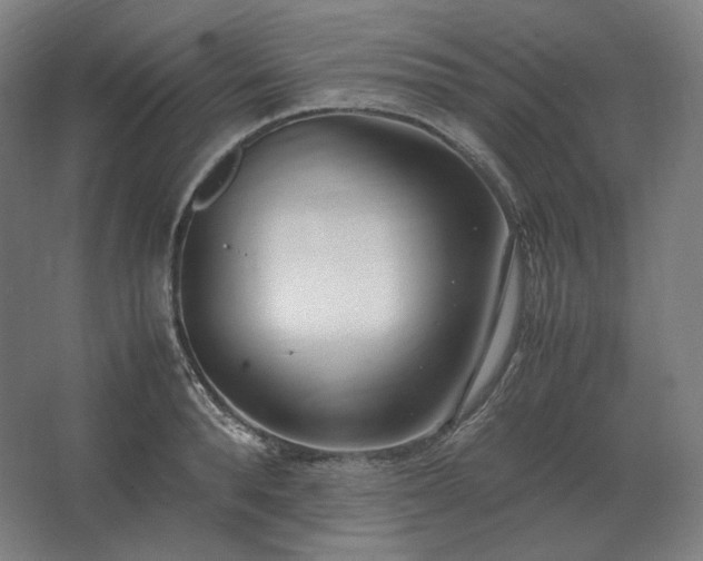 X0000062670896200512281736