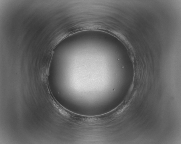 X0000062670897200512281736