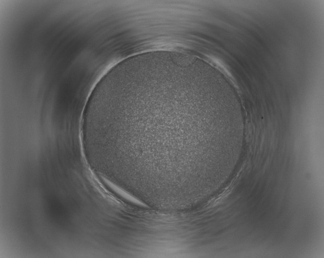 X0000062670899200512281736