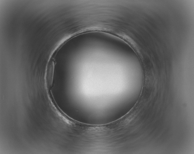 X0000062670902200512281736