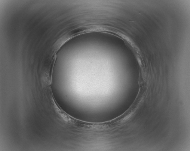 X0000062670905200512281736