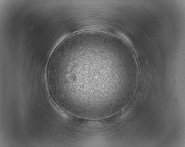 X0000062670907200512281736