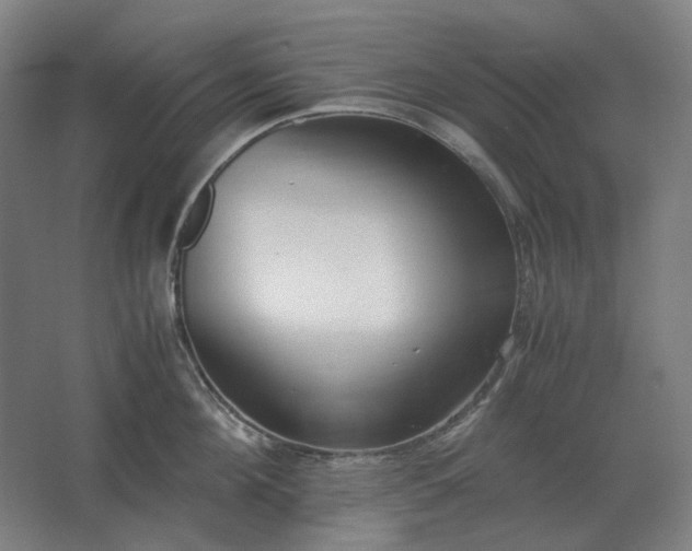 X0000062670908200512281736