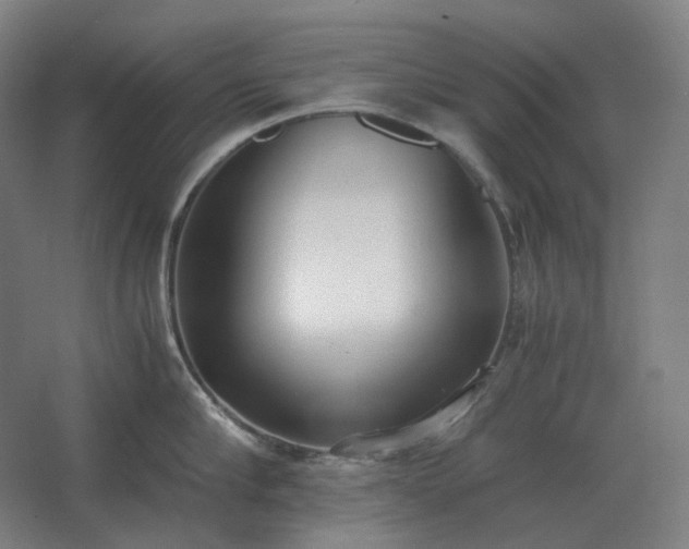 X0000062670910200512281736