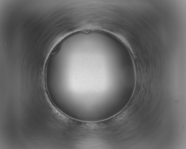 X0000062670911200512281736