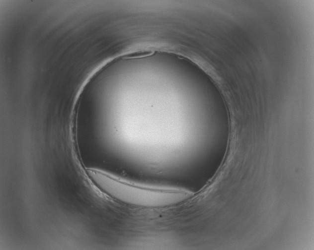 X0000062670912200512281736