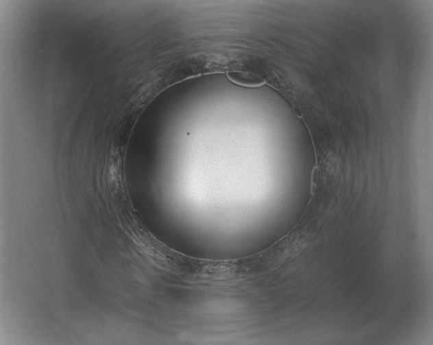 X0000062670914200512281735