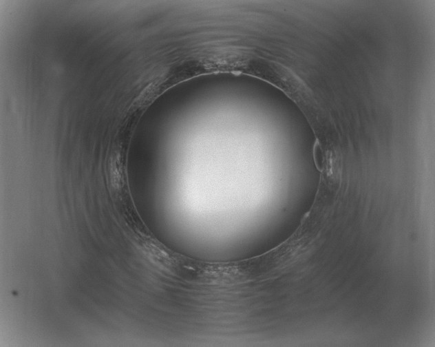 X0000062670915200512281735